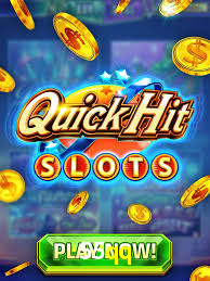 55qq